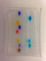 Molecular Rainbow - Dye Electrophoresis
