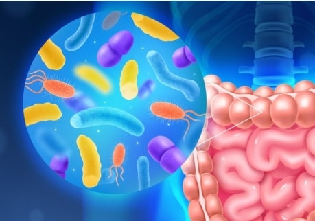 Careers in Action - Food Allergies & the Gut Micro